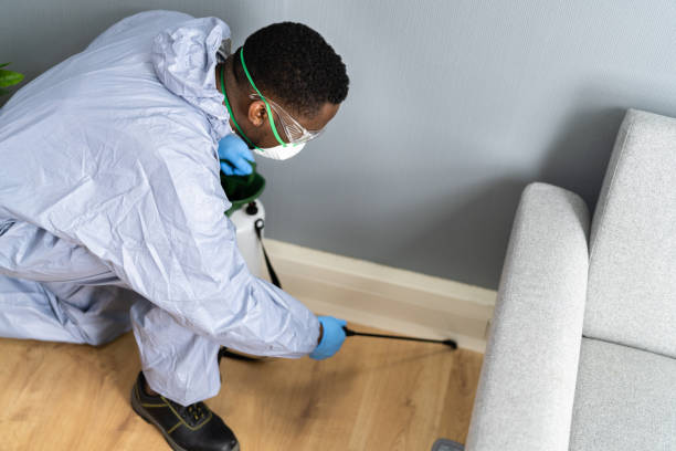 Best Fumigation Services  in Water Valley, MS